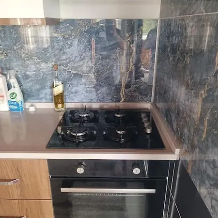 Alya 1 Arti 1 Muğla