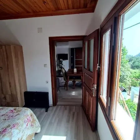 Alya 1 Arti 1 Muğla
