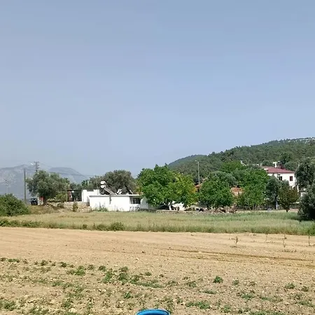 Alya 1 Arti 1 * Muğla