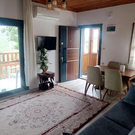 Alya 1 Arti 1 * Muğla