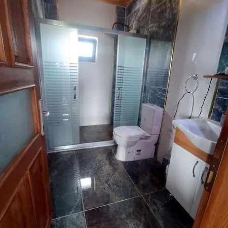 Alya 1 Arti 1 * Muğla