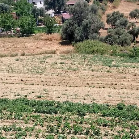 Alya 1 Arti 1 * Muğla
